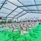 Tenda Pernikahan Modern Big Outdoor Aluminium Shelter 300 Seater