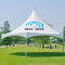 Tenda Musim Semi Atas Luar Ruangan yang disesuaikan untuk Taman Tenda Gazebo